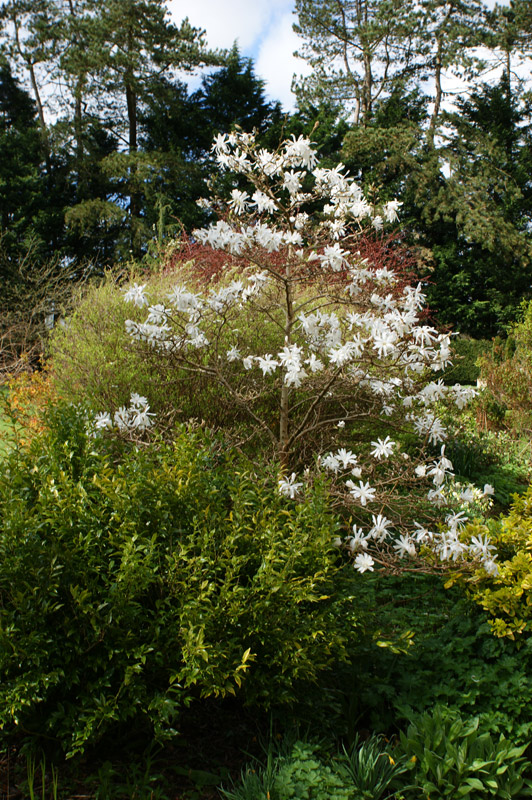 Sir Harold Hillier Gardens