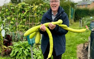 Church Crookham Allotments 2024